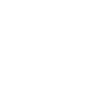 fish icon